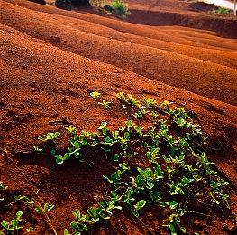 《GTA6》由10个工作室携手打造 R星印度有超过1600名开发者